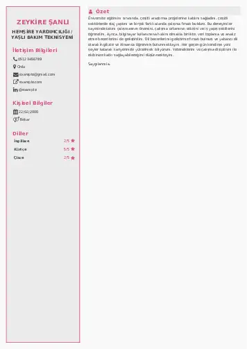 Hasta ve Yaşlı Bakım Elemanı Cv Örnekleri cv indir